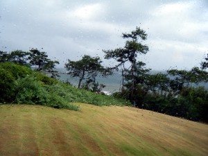 美術館