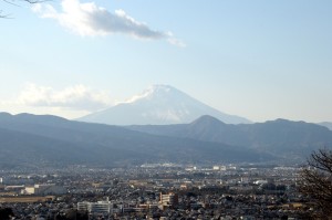 梅林からの富士山
