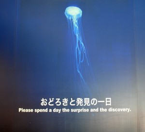 えのすい　入口